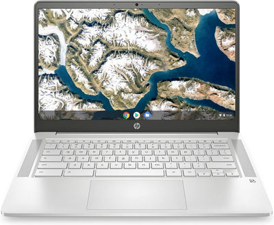HP Chromebook 14a-na1043cl